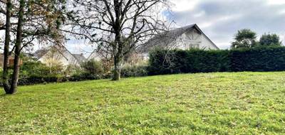 Terrain et maison à Saint-Avé en Morbihan (56) de 490 m² à vendre au prix de 357161€ - 4