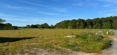 Terrain à Baugé-en-Anjou en Maine-et-Loire (49) de 376 m² à vendre au prix de 30080€ - 1