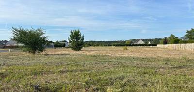 Terrain à Rives-du-Loir-en-Anjou en Maine-et-Loire (49) de 412 m² à vendre au prix de 67980€ - 1