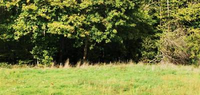 Terrain et maison à Courçay en Indre-et-Loire (37) de 437 m² à vendre au prix de 196388€ - 3