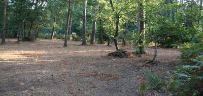 Terrain et maison à Saint-Benoît-la-Forêt en Indre-et-Loire (37) de 1200 m² à vendre au prix de 158786€ - 3