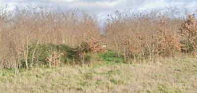 Terrain et maison à Montlouis-sur-Loire en Indre-et-Loire (37) de 225 m² à vendre au prix de 187723€ - 3