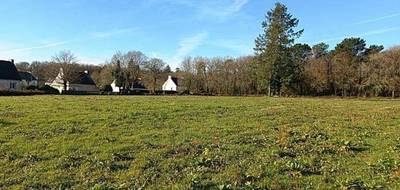 Terrain et maison à Monterblanc en Morbihan (56) de 296 m² à vendre au prix de 184064€ - 3