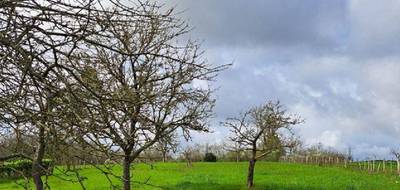 Terrain et maison à Senillé-Saint-Sauveur en Vienne (86) de 2757 m² à vendre au prix de 198030€ - 3