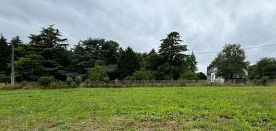 Terrain et maison à Ploërmel en Morbihan (56) de 593 m² à vendre au prix de 233703€ - 2