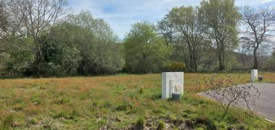 Terrain et maison à Bretagne-de-Marsan en Landes (40) de 1175 m² à vendre au prix de 171054€ - 3