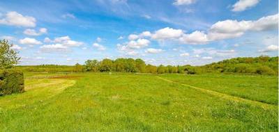 Terrain et maison à Romorantin-Lanthenay en Loir-et-Cher (41) de 2100 m² à vendre au prix de 270208€ - 3