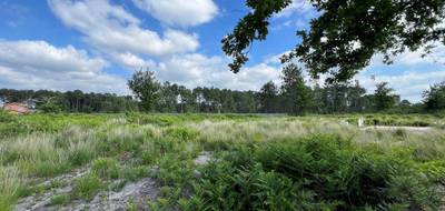 Terrain et maison à Andernos-les-Bains en Gironde (33) de 470 m² à vendre au prix de 356689€ - 3