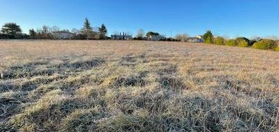 Terrain à Roquecor en Tarn-et-Garonne (82) de 2422 m² à vendre au prix de 36000€ - 1