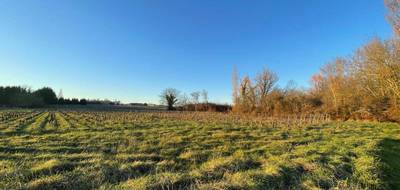 Terrain à Eyrans en Gironde (33) de 1000 m² à vendre au prix de 38000€ - 1