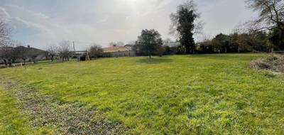 Terrain à Margaux-Cantenac en Gironde (33) de 1100 m² à vendre au prix de 99000€ - 1