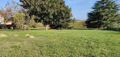 Terrain à Baigneaux en Gironde (33) de 1160 m² à vendre au prix de 55000€ - 2