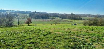 Terrain à Doazit en Landes (40) de 2850 m² à vendre au prix de 55000€ - 1