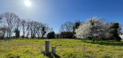 Terrain à Prignac-et-Marcamps en Gironde (33) de 710 m² à vendre au prix de 65000€ - 1