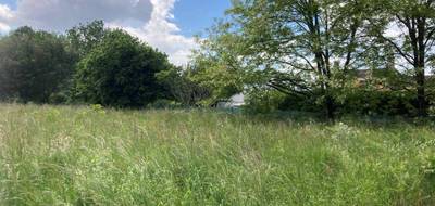 Terrain à Berson en Gironde (33) de 5136 m² à vendre au prix de 135000€ - 1