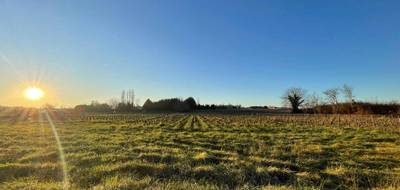 Terrain à Berson en Gironde (33) de 1200 m² à vendre au prix de 56000€ - 1