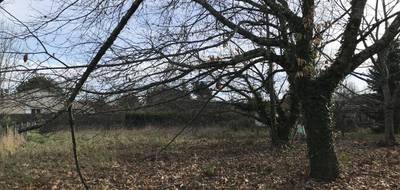 Terrain à Saint-Maixant en Gironde (33) de 1000 m² à vendre au prix de 85000€ - 1