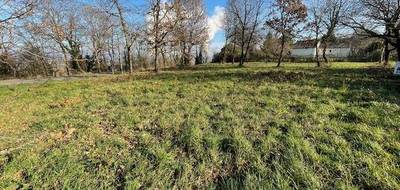 Terrain à Donzac en Tarn-et-Garonne (82) de 2400 m² à vendre au prix de 40000€ - 2