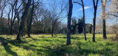 Terrain à Prignac-et-Marcamps en Gironde (33) de 710 m² à vendre au prix de 65000€ - 1