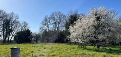 Terrain à Prignac-et-Marcamps en Gironde (33) de 710 m² à vendre au prix de 65000€ - 2