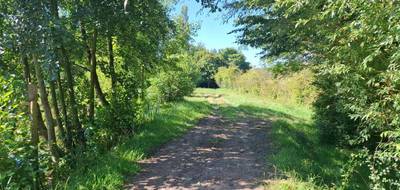 Terrain à Jolimetz en Nord (59) de 26294 m² à vendre au prix de 182500€ - 3