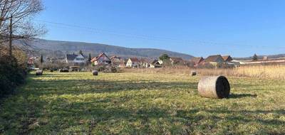 Terrain à Orschwihr en Haut-Rhin (68) de 416 m² à vendre au prix de 47600€ - 1