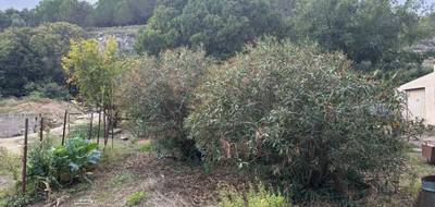 Terrain à Le Pouget en Hérault (34) de 700 m² à vendre au prix de 189000€ - 3