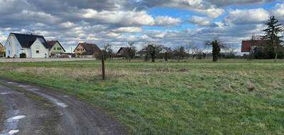 Terrain à Grussenheim en Haut-Rhin (68) de 1891 m² à vendre au prix de 89500€ - 4