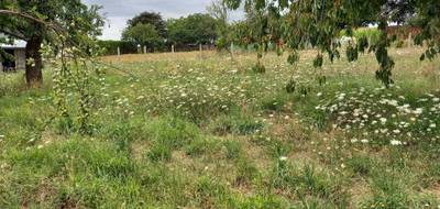 Terrain à Baugé-en-Anjou en Maine-et-Loire (49) de 1300 m² à vendre au prix de 54000€ - 2