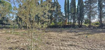 Terrain à Loriol-du-Comtat en Vaucluse (84) de 549 m² à vendre au prix de 120000€ - 3