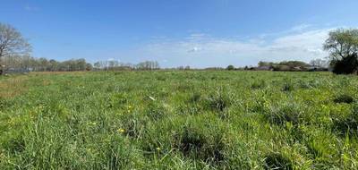 Terrain à Garrey en Landes (40) de 0 m² à vendre au prix de 70600€ - 4