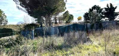 Terrain à Sérignan en Hérault (34) de 1000 m² à vendre au prix de 26000€ - 2