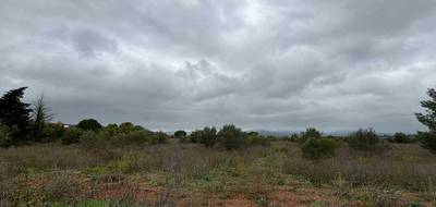 Terrain à Clermont-l'Hérault en Hérault (34) de 12476 m² à vendre au prix de 87000€ - 3