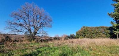 Terrain à Saint-Césaire-de-Gauzignan en Gard (30) de 1450 m² à vendre au prix de 103000€ - 4