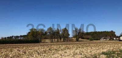 Terrain à Momuy en Landes (40) de 2725 m² à vendre au prix de 27500€ - 2