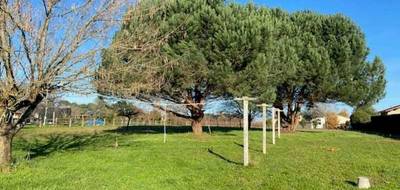 Terrain à Berson en Gironde (33) de 2390 m² à vendre au prix de 59800€ - 1