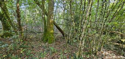 Terrain à Saint-Jory-de-Chalais en Dordogne (24) de 93500 m² à vendre au prix de 46000€ - 4