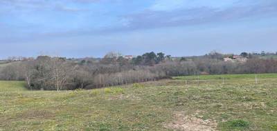 Terrain à Bassercles en Landes (40) de 1200 m² à vendre au prix de 17500€ - 4