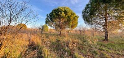 Terrain à Paulhan en Hérault (34) de 2150 m² à vendre au prix de 229950€ - 1