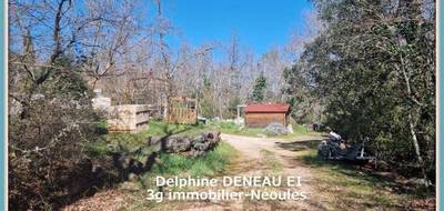 Terrain à Néoules en Var (83) de 2500 m² à vendre au prix de 299000€ - 3