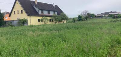 Terrain à Pfaffenheim en Haut-Rhin (68) de 1145 m² à vendre au prix de 193200€ - 4