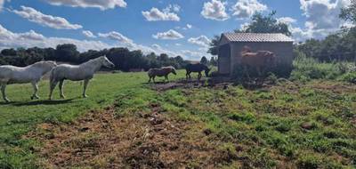 Terrain à Guise en Aisne (02) de 10000 m² à vendre au prix de 85000€ - 2