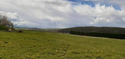 Terrain à Saint-Quintin-sur-Sioule en Puy-de-Dôme (63) de 1392 m² à vendre au prix de 35000€ - 1