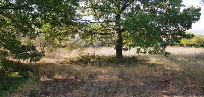 Terrain à Le Pouget en Hérault (34) de 2350 m² à vendre au prix de 309000€ - 2