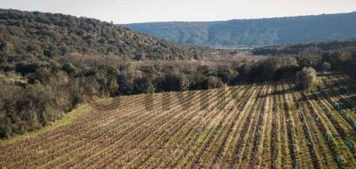 Terrain à Le Bosc en Hérault (34) de 43515 m² à vendre au prix de 112000€ - 1