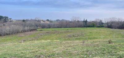 Terrain à Bassercles en Landes (40) de 1200 m² à vendre au prix de 17500€ - 3