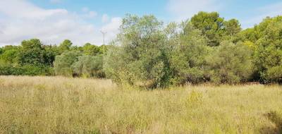 Terrain à Gignac en Hérault (34) de 2010 m² à vendre au prix de 319900€ - 2