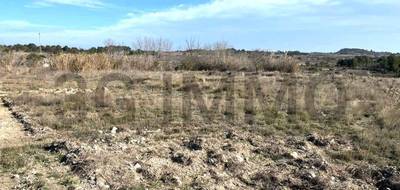 Terrain à Lespignan en Hérault (34) de 4175 m² à vendre au prix de 399000€ - 1