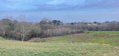 Terrain à Bassercles en Landes (40) de 1200 m² à vendre au prix de 17500€ - 2