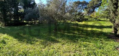 Terrain à Margon en Hérault (34) de 1235 m² à vendre au prix de 139000€ - 2